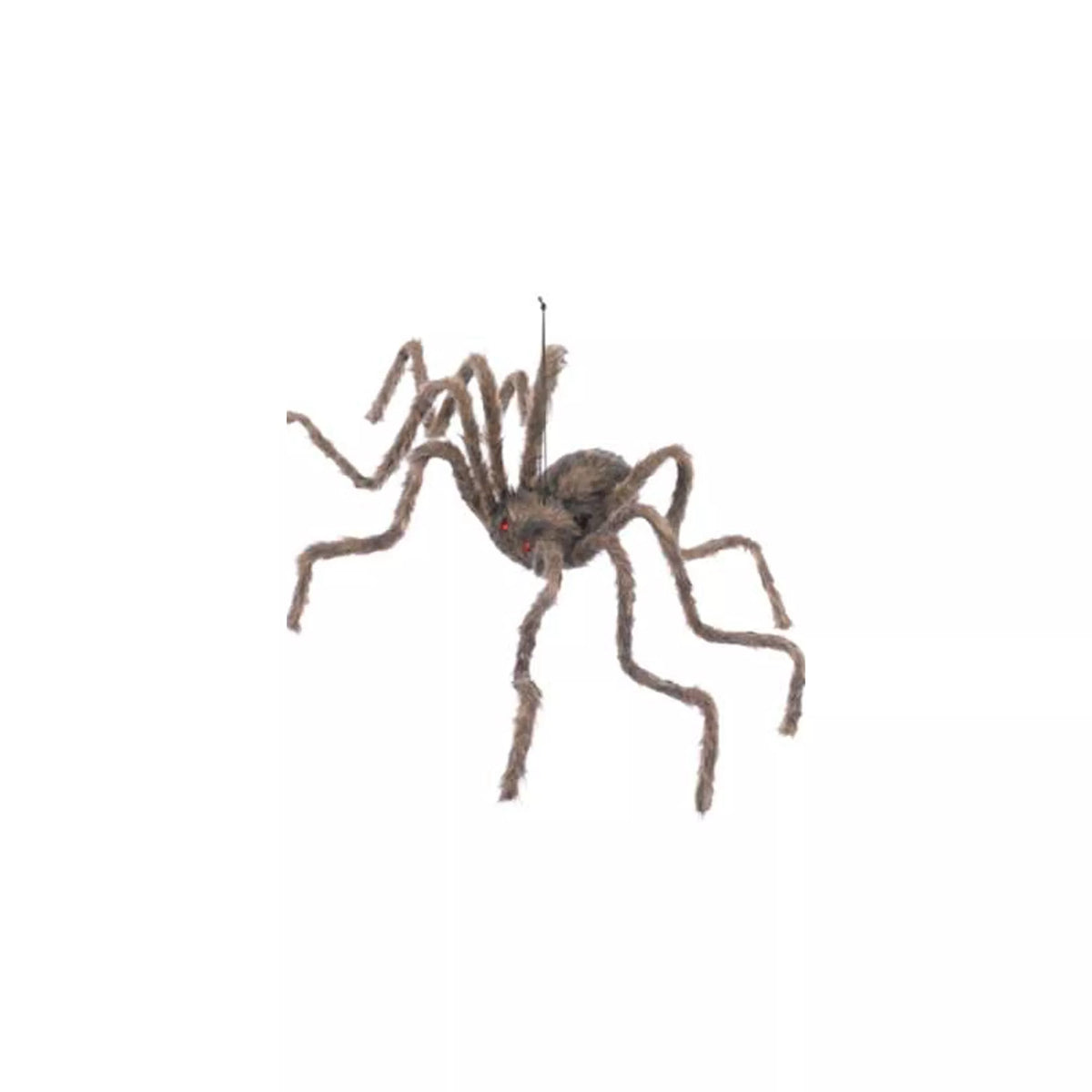 50 Inch Hairy Spider