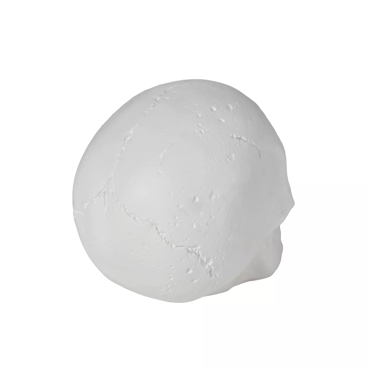 White Skull Tabletop Decoration