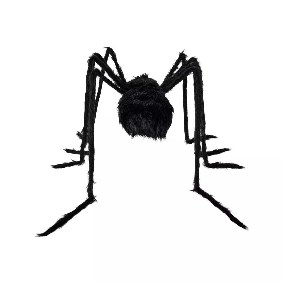 5 Ft Black Spider