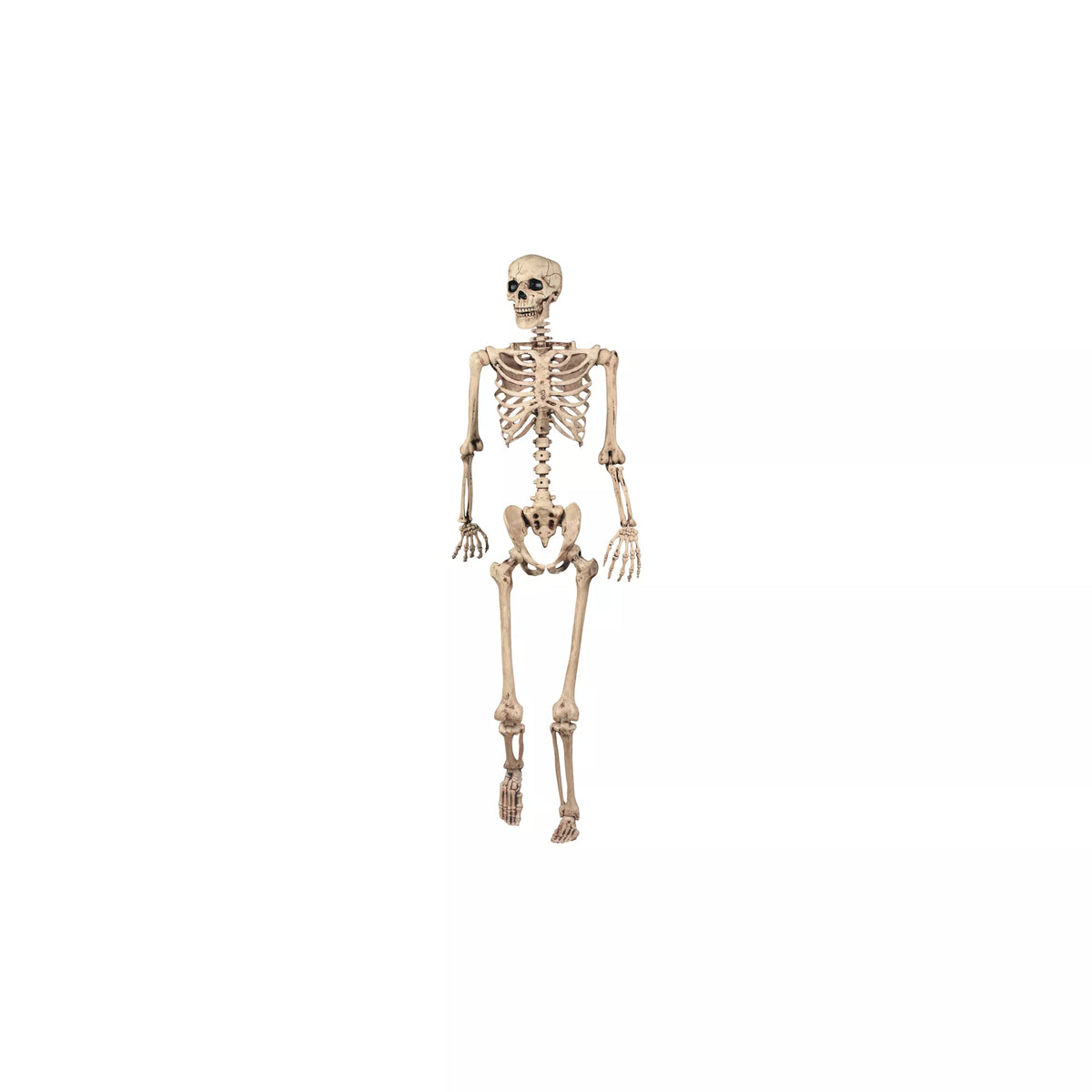 5 Ft Pose 'N' Stay Skeleton